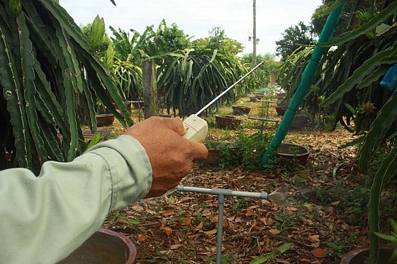 Quảng Ngãi: Nông dân cải tiến bộ tưới nước tự động 3 trong 1