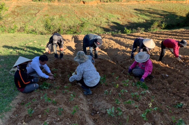 kon tum khai thac tiem nang cay duoc lieu o mang canh