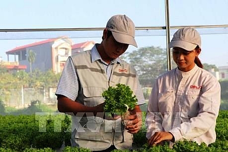 Bắc Giang: Hỗ trợ khuyến khích doanh nghiệp đầu tư vào nông nghiệp, nông thôn