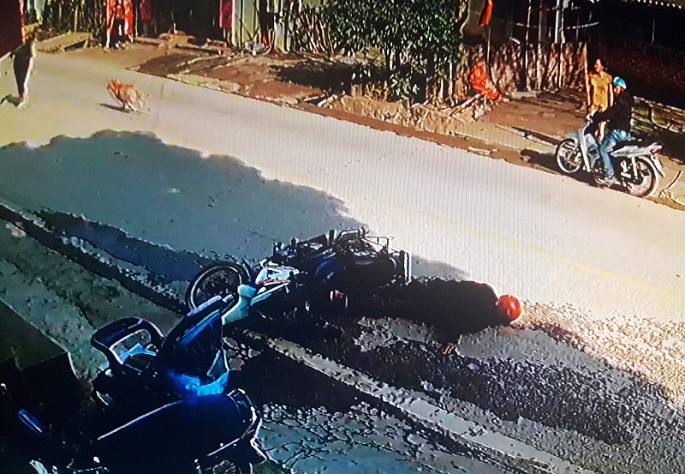 Cao Bằng: Chó thả rông chạy ngang qua đường khiến người đi xe máy ngã xấp mặt